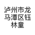 泸州市龙马潭区钰林童装店的小店个体店