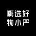 嗨选好物小严