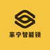 家宁智能锁具