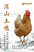 土鸡农村散养土鸡