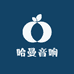 寻乌县哈曼音响