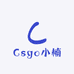 Csgo小楠
