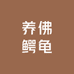 养佛鳄龟