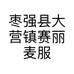 枣强县大营镇赛丽麦服装个体店