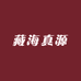 藏海真源