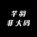 芊羽菲大码服饰