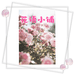 亚兰的花语小铺