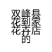 双峰县花到家花卉店的小店
