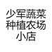 少军蔬菜种植农场小店
