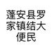 蓬安县罗家镇结大便民农家店的小店