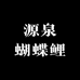 源泉蝴蝶鲤
