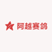 阿越赛鸽