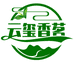 云玺香茗