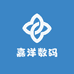 嘉洋数码科技
