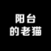 阳台的老猫