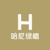 哈尼绿植