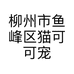 柳州市鱼峰区猫可可宠物馆的小店个体店