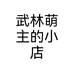 武林萌主的小店个体店