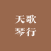 天歌琴行