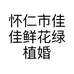 怀仁市佳佳鲜花绿植婚车店的小店个体店