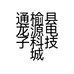 通榆县龙源电子科技城的小店个体店
