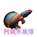 阿城水族馆