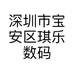 深圳市宝安区琪乐数码配件店的小店