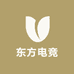 东方电竞包装城店