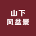 山下风盆景