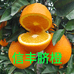 闰生水果店