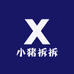 小猪拆拆