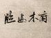 临安木府小肥猪园艺
