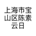 上海市宝山区陈素云日用百货店的小店个体店