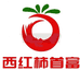 安雪儿西红柿首富