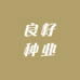 良籽种业