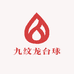 九纹龙台球