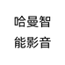 哈曼智能影音