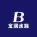 宝润水族观赏鱼
