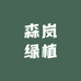 森岚绿植