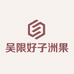 吴限好子洲果馅店