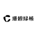 珊珊姐高山绿植