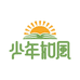 少年如风教育图书