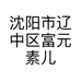 沈阳市辽中区富元素儿童摄影店