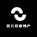 杏儿农家特产