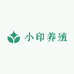 小印养殖
