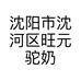 沈阳市沈河区旺元驼奶乳制品门市部的小店