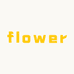 拾月flower