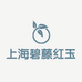 上海碧藤红玉贸易服务有限公司