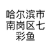 哈尔滨市南岗区七彩鱼书画工作室的小店