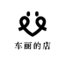 车丽的店